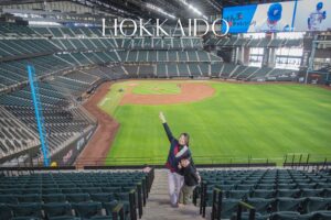 Hokkaido Ballpark F Village