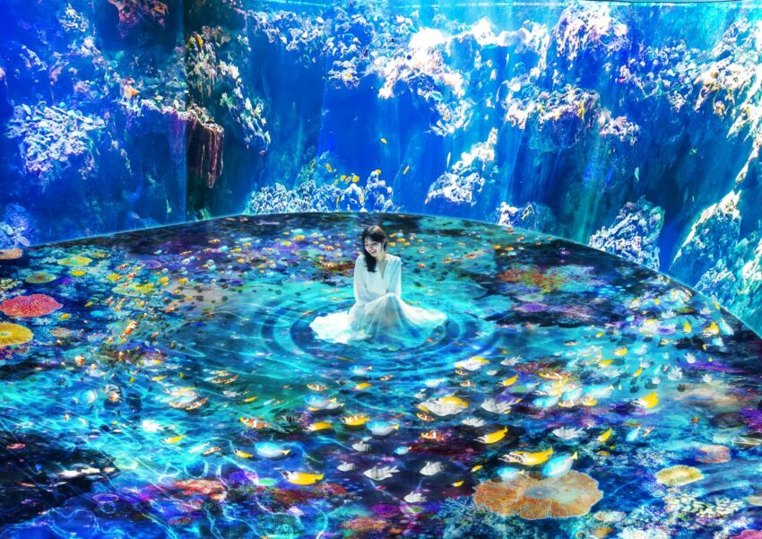 xpark 【2026Xpark水族館】桃園必玩親子景點,企鵝咖啡廳、夜宿水族館、xpark門票優惠&交通攻略 2 2026