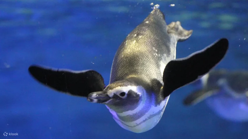 東京景點推薦｜東京自由行必去景點&一日遊行程攻略！ 