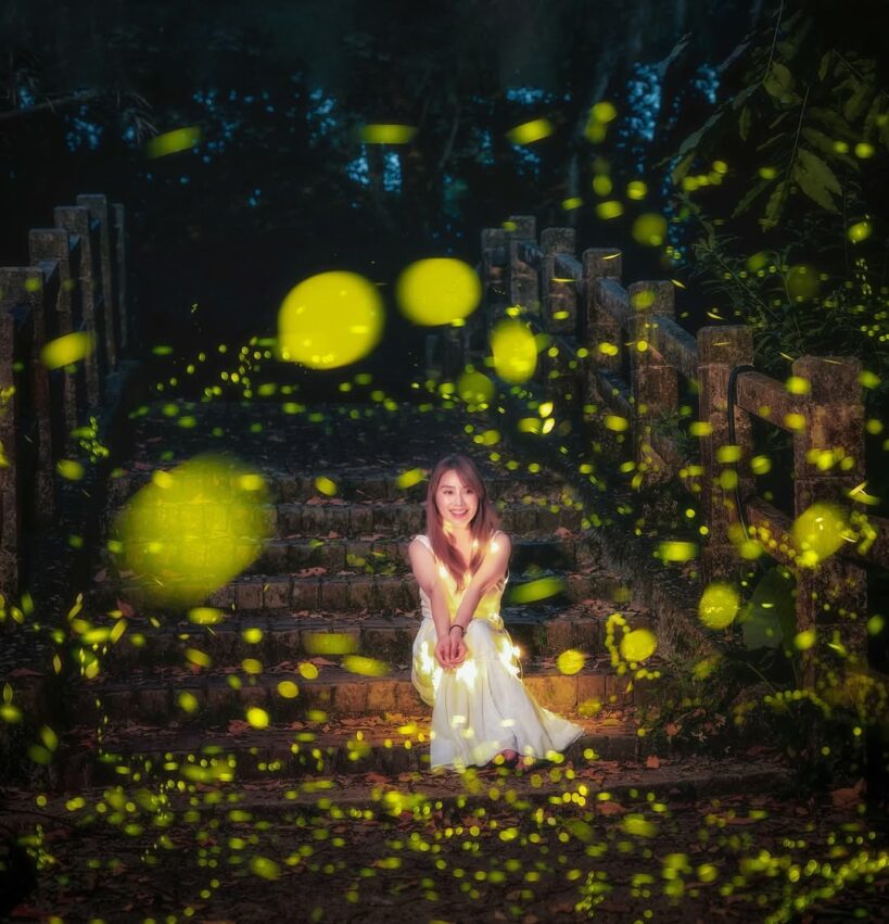 南投螢火蟲 【2026南投螢火蟲】推薦必訪4大南投賞螢景點，最新南投螢火蟲季活動懶人包 2 2026