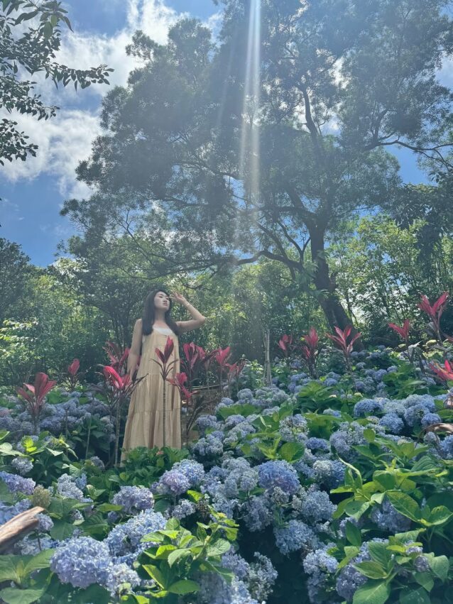 龍潭景點 【2026龍潭景點】精選13個龍潭親子景點/私房景點/景觀餐廳，龍潭一日遊懶人包 1 2026