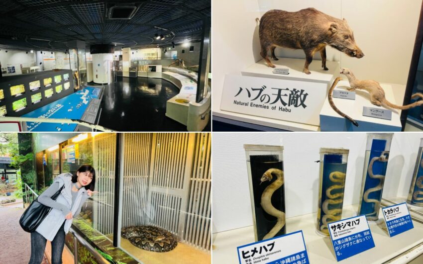 【沖繩世界玉泉洞】鐘乳石奇景、必看太鼓秀！玉泉洞門票/手作體驗/交通/美食一次看