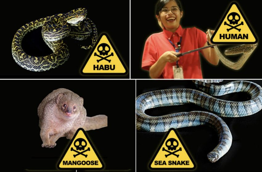 【沖繩世界玉泉洞】鐘乳石奇景、必看太鼓秀！玉泉洞門票/手作體驗/交通/美食一次看