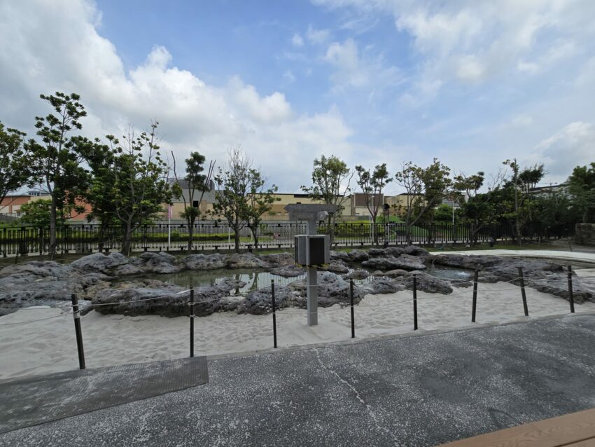 【Xpark水族館】全新活動搶先看!桃園水族館必逛展區/如何購票/美食餐廳/夜宿懶人包 【Xpark水族館】全新活動搶先看!桃園水族館必逛展區/如何購票/美食餐廳/夜宿懶人包