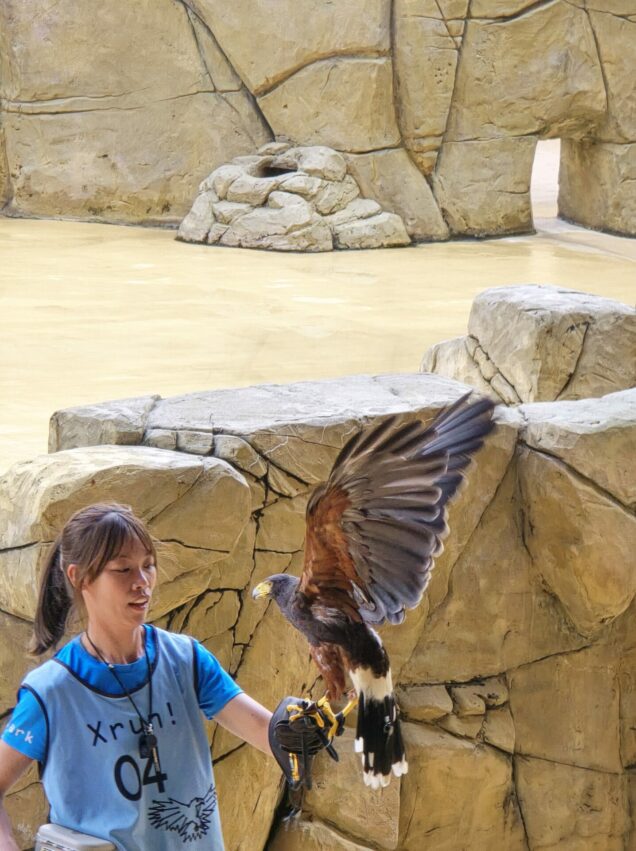 【Xpark水族館】全新活動搶先看!桃園水族館必逛展區/如何購票/美食餐廳/夜宿懶人包 【Xpark水族館】全新活動搶先看!桃園水族館必逛展區/如何購票/美食餐廳/夜宿懶人包