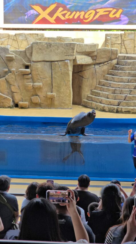 【Xpark水族館】全新活動搶先看!桃園水族館必逛展區/如何購票/美食餐廳/夜宿懶人包 【Xpark水族館】全新活動搶先看!桃園水族館必逛展區/如何購票/美食餐廳/夜宿懶人包