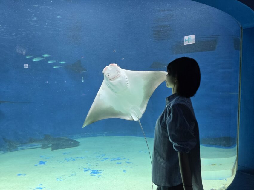 【Xpark水族館】全新活動搶先看!桃園水族館必逛展區/如何購票/美食餐廳/夜宿懶人包 【Xpark水族館】全新活動搶先看!桃園水族館必逛展區/如何購票/美食餐廳/夜宿懶人包