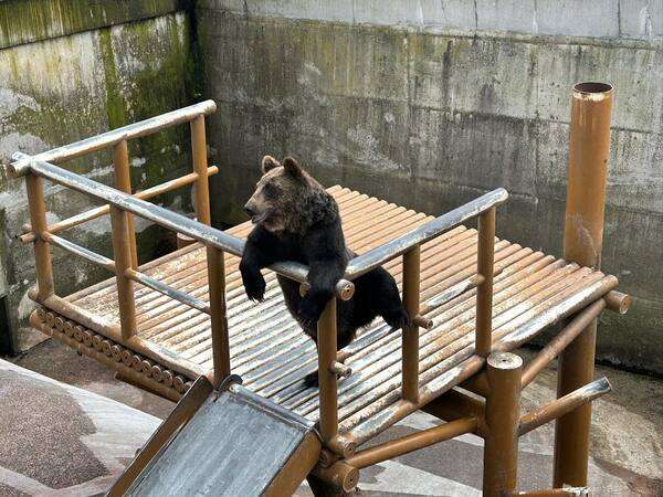 【北海道自由行】北海道自由行推薦,精選北海道旅遊攻略! 【北海道自由行】北海道自由行推薦,精選北海道旅遊攻略!