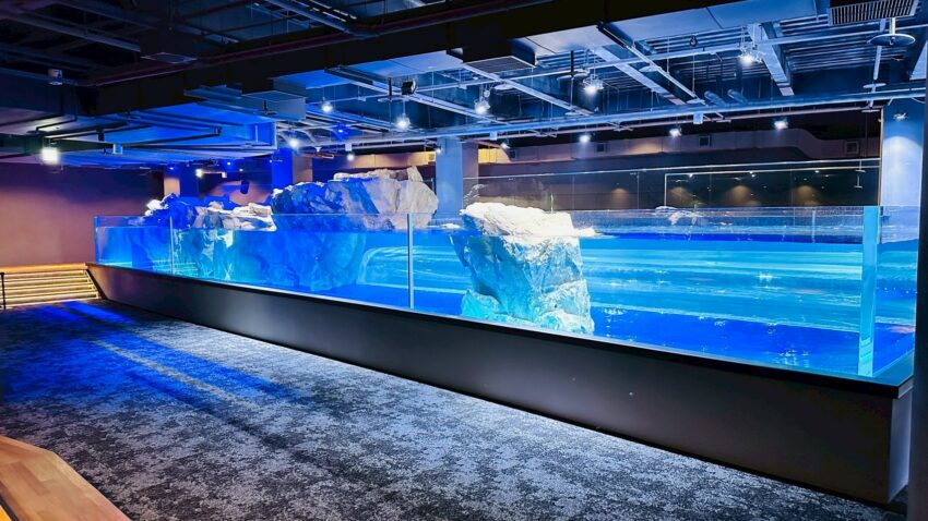 【台中海洋館】搶先開箱!8折門票優惠、各樓層展區介紹、交通資訊搶先看! 【台中海洋館】搶先開箱!8折門票優惠、各樓層展區介紹、交通資訊搶先看!