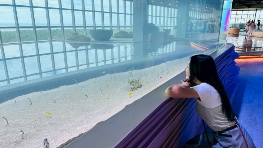 台中室內景點 【台中室內景點】精選台中雨天備案、親子一日遊景點推薦，免日曬雨淋的台中好去處 1 2026