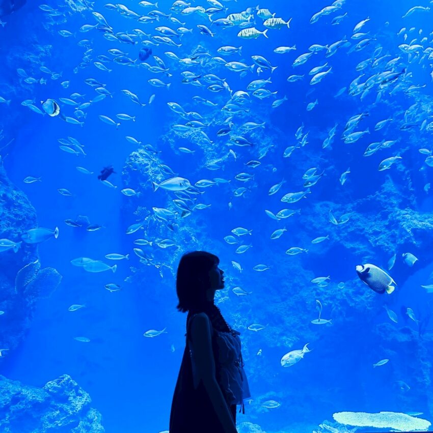 【台中海洋館】搶先開箱!8大展區亮點、8折門票優惠、交通資訊搶先看! 【台中海洋館】搶先開箱!8大展區亮點、8折門票優惠、交通資訊搶先看!