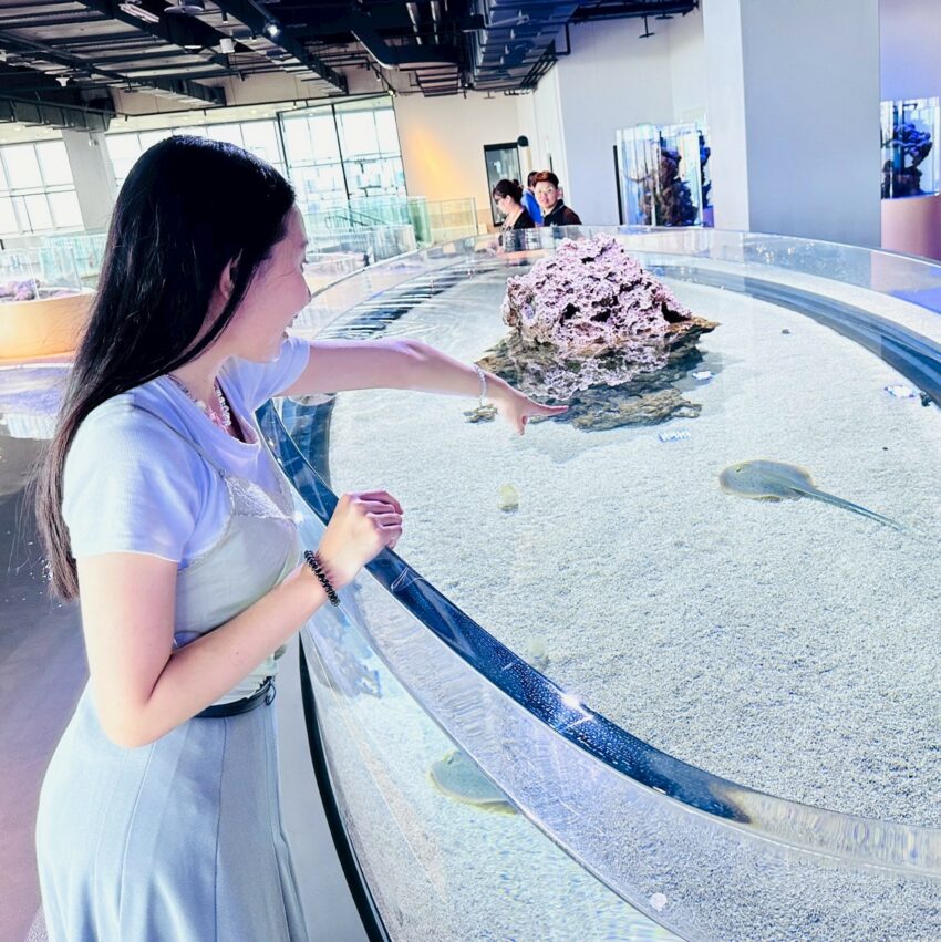 【台中海洋館】搶先開箱!8折門票優惠、各樓層展區介紹、交通資訊搶先看! 【台中海洋館】搶先開箱!8折門票優惠、各樓層展區介紹、交通資訊搶先看!