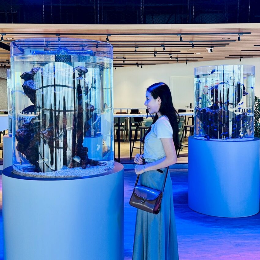 【台中海洋館】搶先開箱!8折門票優惠、各樓層展區介紹、交通資訊搶先看! 【台中海洋館】搶先開箱!8折門票優惠、各樓層展區介紹、交通資訊搶先看!