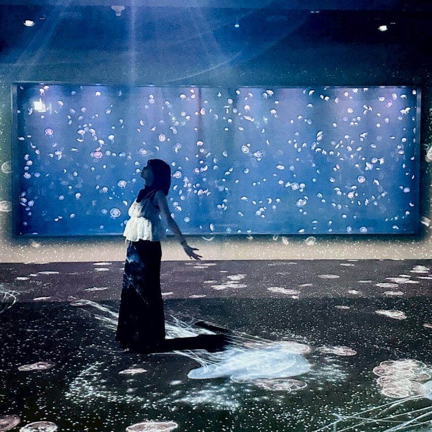 【台中海洋館】搶先開箱!8大展區亮點、8折門票優惠、交通資訊搶先看! 【台中海洋館】搶先開箱!8大展區亮點、8折門票優惠、交通資訊搶先看!