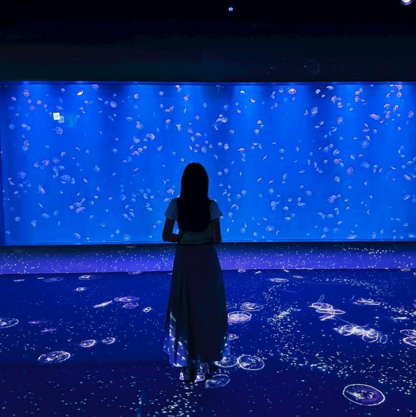 【台中海洋館】搶先開箱!8折門票優惠、各樓層展區介紹、交通資訊搶先看! 【台中海洋館】搶先開箱!8折門票優惠、各樓層展區介紹、交通資訊搶先看!