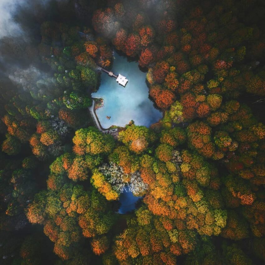 【阿里山國家森林遊樂區】阿里山森林遊樂區怎麼玩?一篇交通/景點/住宿/美食全攻略 【阿里山國家森林遊樂區】阿里山森林遊樂區怎麼玩?一篇交通/景點/住宿/美食全攻略