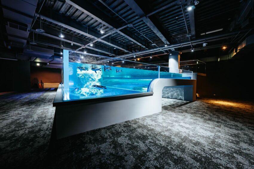 【台中海洋館】搶先開箱！8折門票優惠、各樓層展區介紹、交通資訊搶先看！