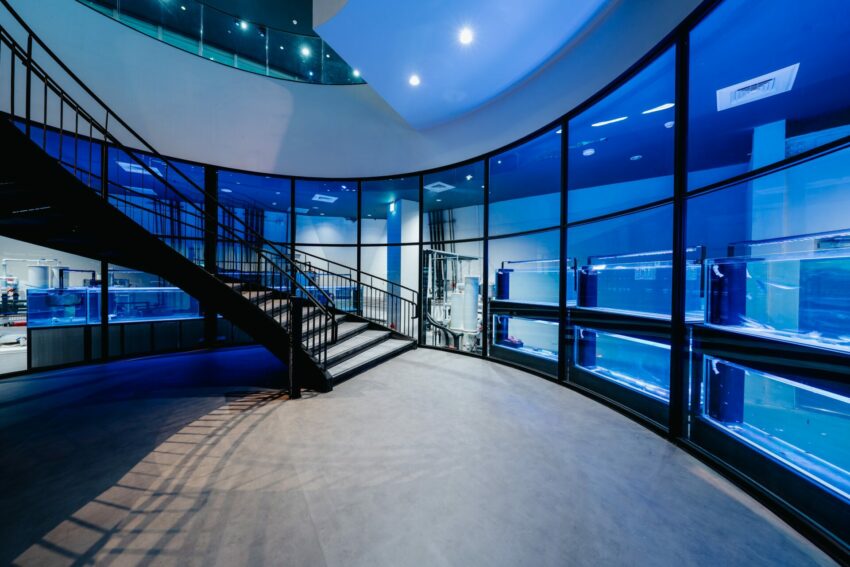 【台中海洋館】搶先開箱!8折門票優惠、各樓層展區介紹、交通資訊搶先看! 【台中海洋館】搶先開箱!8折門票優惠、各樓層展區介紹、交通資訊搶先看!