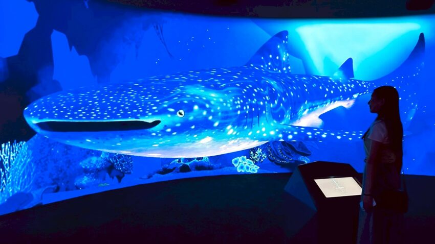 【台中海洋館】搶先開箱!8折門票優惠、各樓層展區介紹、交通資訊搶先看! 【台中海洋館】搶先開箱!8折門票優惠、各樓層展區介紹、交通資訊搶先看!