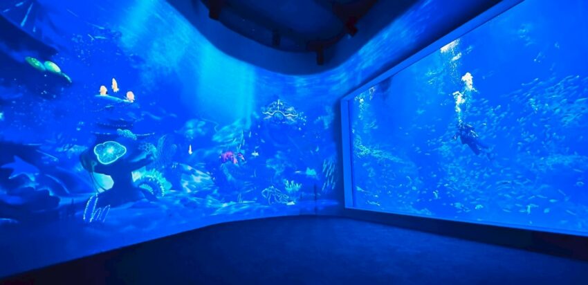 【台中海洋館】搶先開箱!8折門票優惠、各樓層展區介紹、交通資訊搶先看! 【台中海洋館】搶先開箱!8折門票優惠、各樓層展區介紹、交通資訊搶先看!