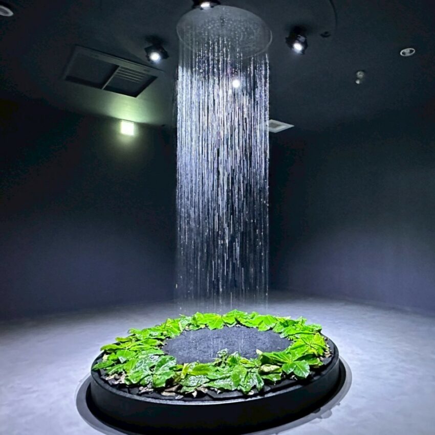 【台中海洋館】搶先開箱!8折門票優惠、各樓層展區介紹、交通資訊搶先看! 【台中海洋館】搶先開箱!8折門票優惠、各樓層展區介紹、交通資訊搶先看!