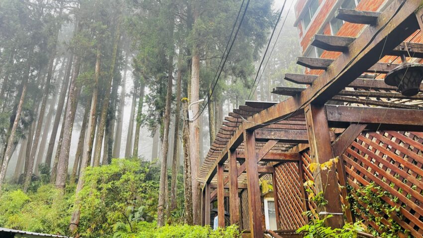 【阿里山住宿】精選超人氣阿里山飯店、阿里山民宿、阿里山賓館，一起看日出～