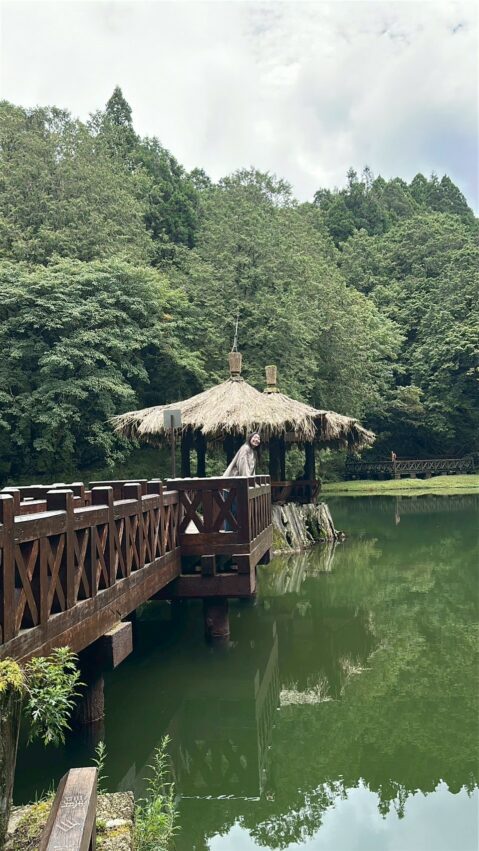 阿里山郵輪式巴士｜郵輪式列車玩法，不開車也能暢玩阿里山！