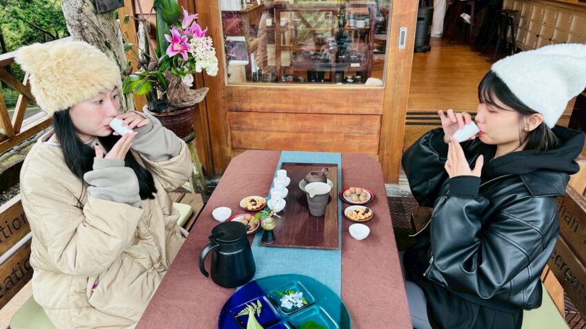 阿里山郵輪式巴士｜郵輪式列車玩法，不開車也能暢玩阿里山！