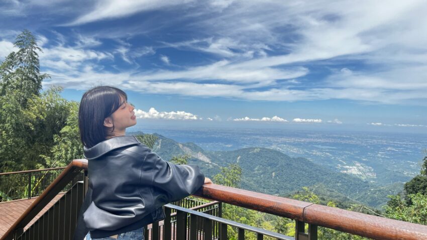 阿里山郵輪式巴士｜郵輪式列車玩法，不開車也能暢玩阿里山！