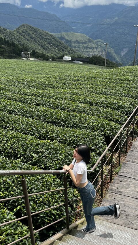 【二延平步道】隙頂二延平步道路線圖、交通、景點全攻略，一覽茶園風光、阿里山雲海