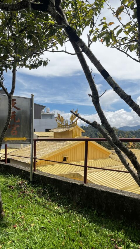 【二延平步道】隙頂二延平步道路線圖、交通、景點全攻略，一覽茶園風光、阿里山雲海