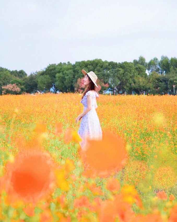 【后里景點】台中后里一日遊，舊山線圳磚橋、后里馬場、中社花海、秘境景點、觀光工廠推薦