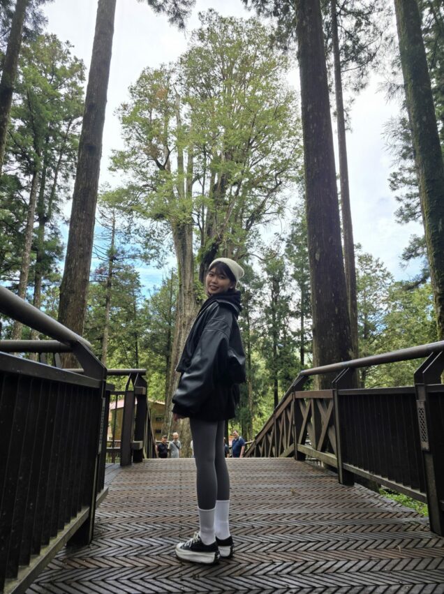 阿里山郵輪式巴士｜郵輪式列車玩法，不開車也能暢玩阿里山！