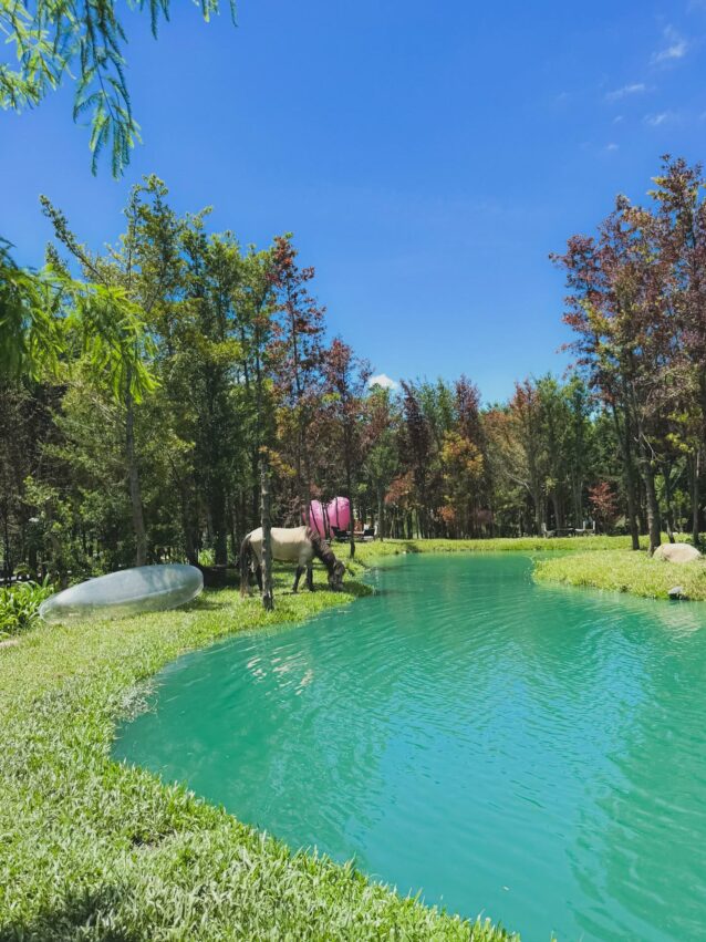 【后里景點】台中后里一日遊，舊山線圳磚橋、后里馬場、中社花海、秘境景點、觀光工廠推薦