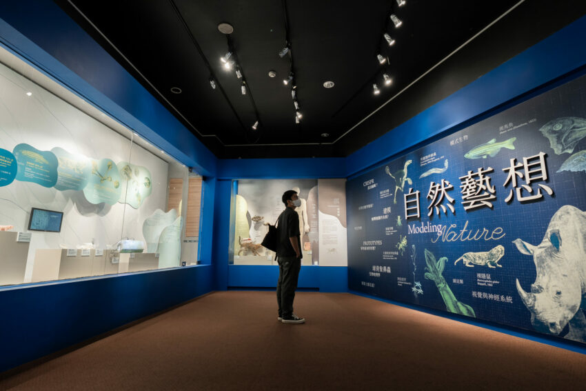 館前一號所 2025博物館夜遊派對!「館前一號所」帶你夜訪科博館,夜探恐龍、木乃伊、水運儀象臺! 7 2026