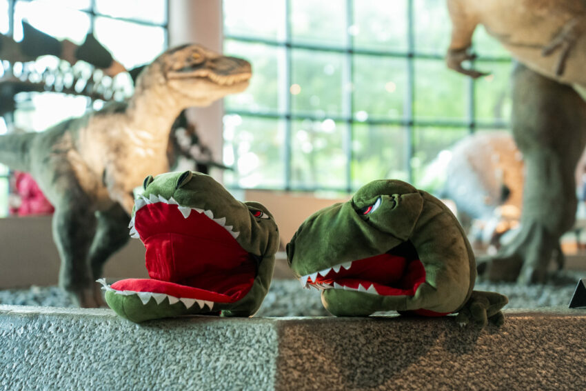 館前一號所 2025博物館夜遊派對!「館前一號所」帶你夜訪科博館,夜探恐龍、木乃伊、水運儀象臺! 9 2026