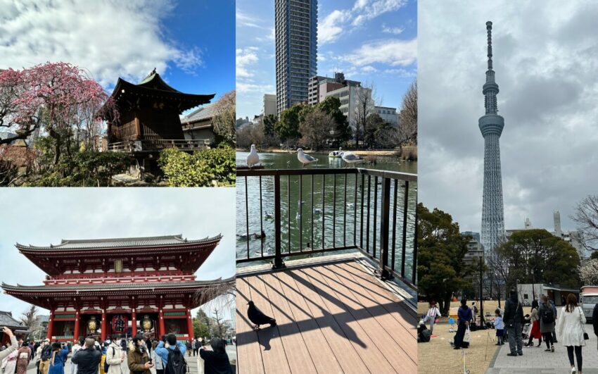 上野住宿推薦【MIMARU東京上野EAST】公寓式酒店，鄰近地鐵、購物商圈，美滿如家住宿超便利！