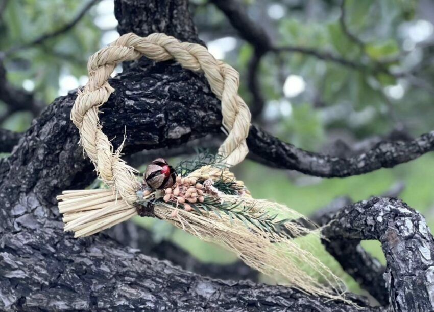 【四重溪溫泉季】屏東四重溪溫泉季攻略!溫泉飯店推薦/賞燈攻略/交通接駁總整理 【四重溪溫泉季】屏東四重溪溫泉季攻略!溫泉飯店推薦/賞燈攻略/交通接駁總整理