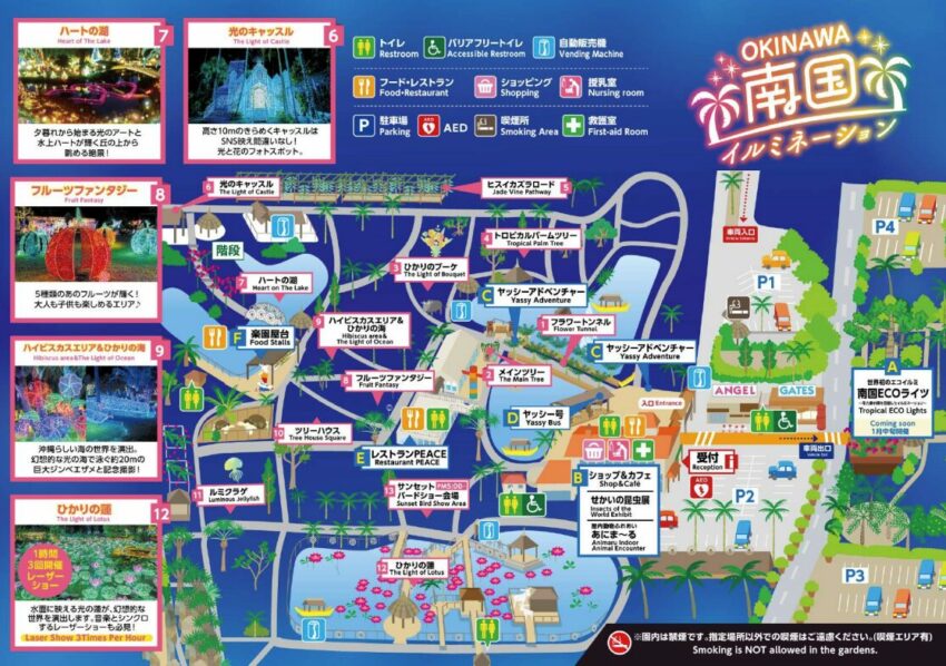 沖繩中部景點【東南植物樂園】熱帶植物與動物的天堂樂園，門票優惠與遊玩攻略懶人包