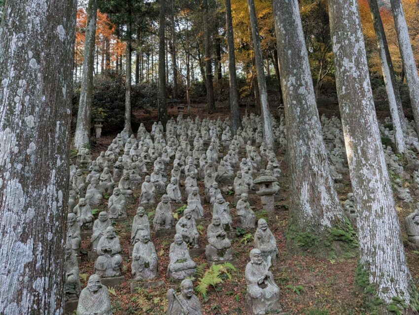 福岡必玩【柳川太宰府一日遊】輕鬆走訪太宰府、柳川遊船，文化、自然與水鄉體驗一次滿足！