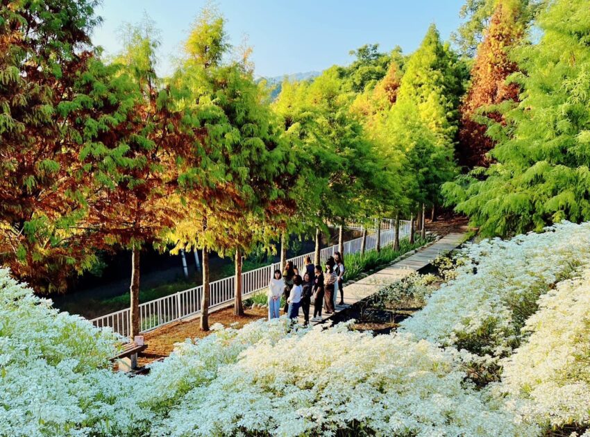 台中美食 【台中美食推薦】精選50家必吃台中美食餐廳、小吃、甜點與夜市美食,超強台中美食地圖! 2 2026