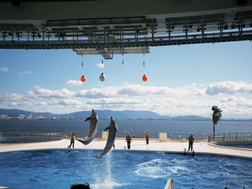 【福岡自由行】最新推薦7條福岡一日遊路線!福岡自由行規劃5天4夜行程一起來看! 【福岡自由行】最新推薦7條福岡一日遊路線!福岡自由行規劃5天4夜行程一起來看!