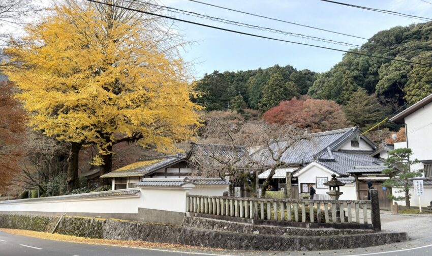 福岡必玩【柳川太宰府一日遊】輕鬆走訪太宰府、柳川遊船，文化、自然與水鄉體驗一次滿足！