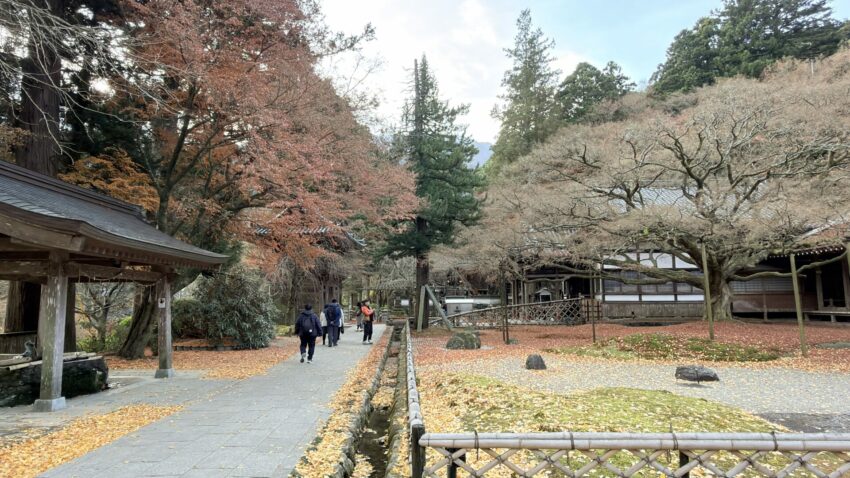 福岡必玩【柳川太宰府一日遊】輕鬆走訪太宰府、柳川遊船，文化、自然與水鄉體驗一次滿足！