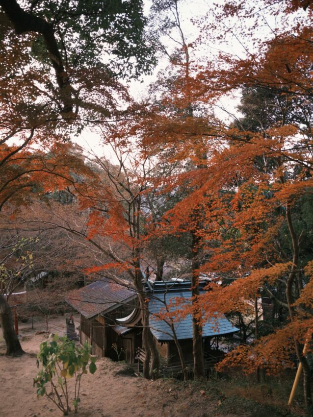 福岡必玩【柳川太宰府一日遊】輕鬆走訪太宰府、柳川遊船，文化、自然與水鄉體驗一次滿足！