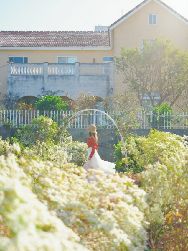 台中景點 【台中景點推薦】2026最新台中一日遊攻略，超夯台中好玩的通通在這裡！ 5 2026