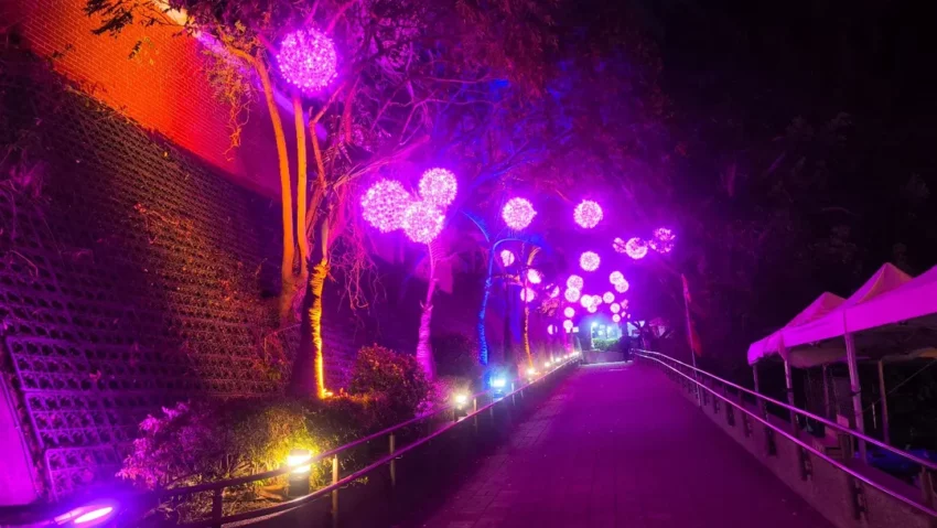 月影燈季 【2026月影燈季】彰化八卦山燈會「跳跳馬戲團」來囉！彰化燈會必看亮點、小提燈領取、交通攻略 14 2026