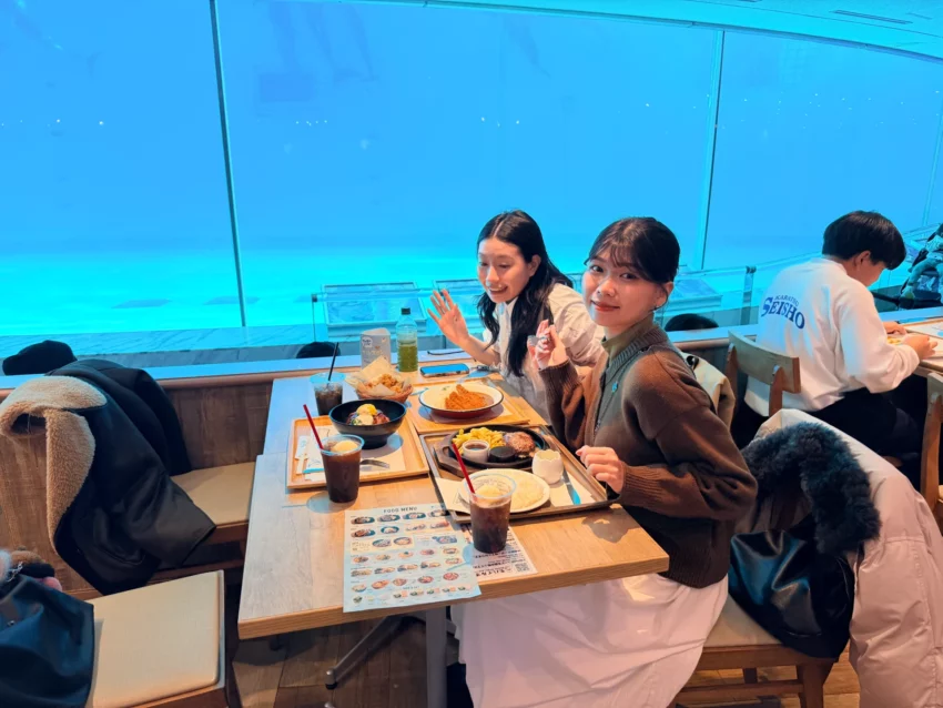 福岡景點【海洋世界海之中道】九州最大水族館！門票交通、必看海豚表演與館內攻略！