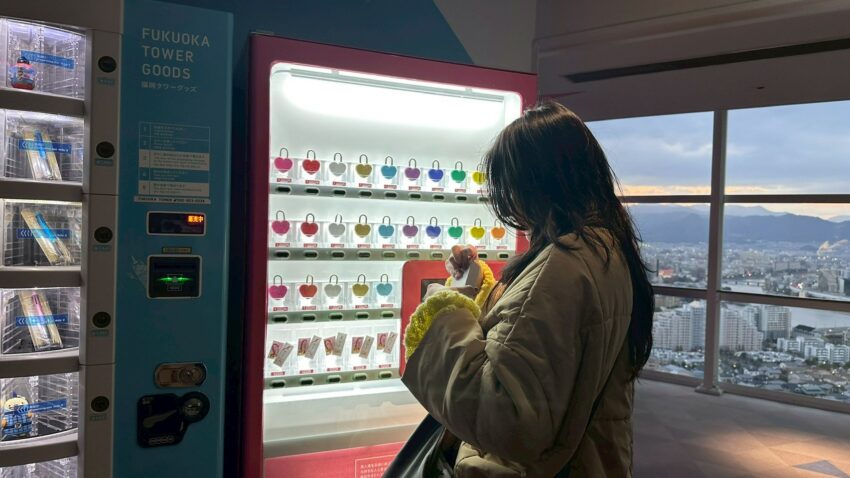 福岡塔攻略|日本最高海濱塔震撼視野!必拍景點、門票優惠與交通懶人包,去過才知多美! 福岡塔攻略|日本最高海濱塔震撼視野!必拍景點、門票優惠與交通懶人包,去過才知多美!