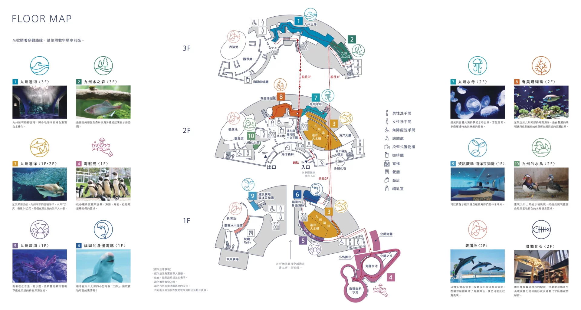 福岡景點【海洋世界海之中道】九州最大水族館！門票交通、必看海豚表演與館內攻略！